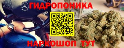эйфоретик Будённовск